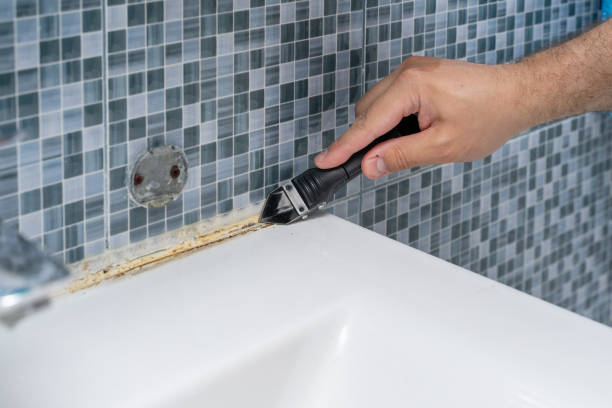 Best Health and Safety Mold Remediation in Seneca, MO